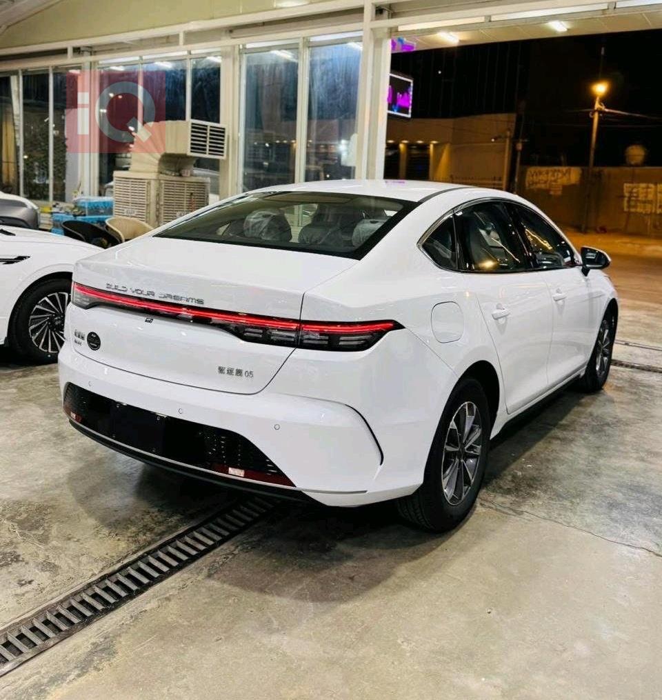 بي واي دي ديستروير 05